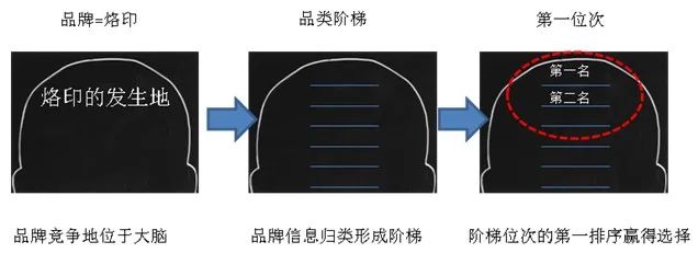 广告营销界“武林秘籍”，一文搞懂”定位理论”！插图2