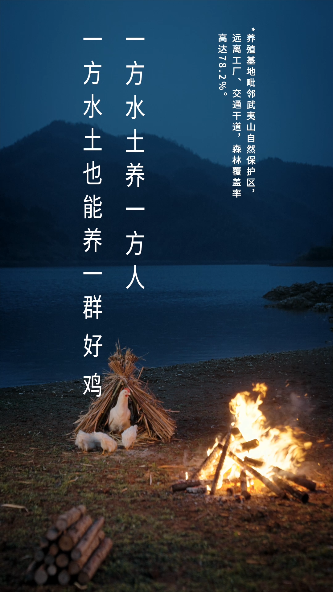 卤味觉醒首支品牌TVC，把鸡拍得很高级插图4
