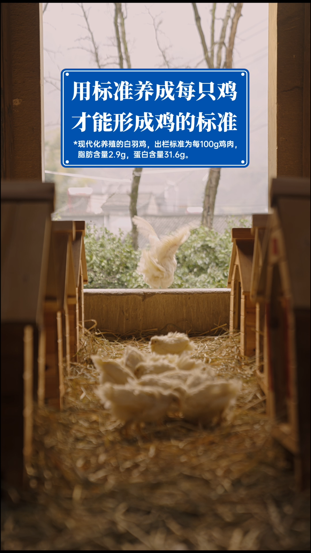 卤味觉醒首支品牌TVC，把鸡拍得很高级插图6