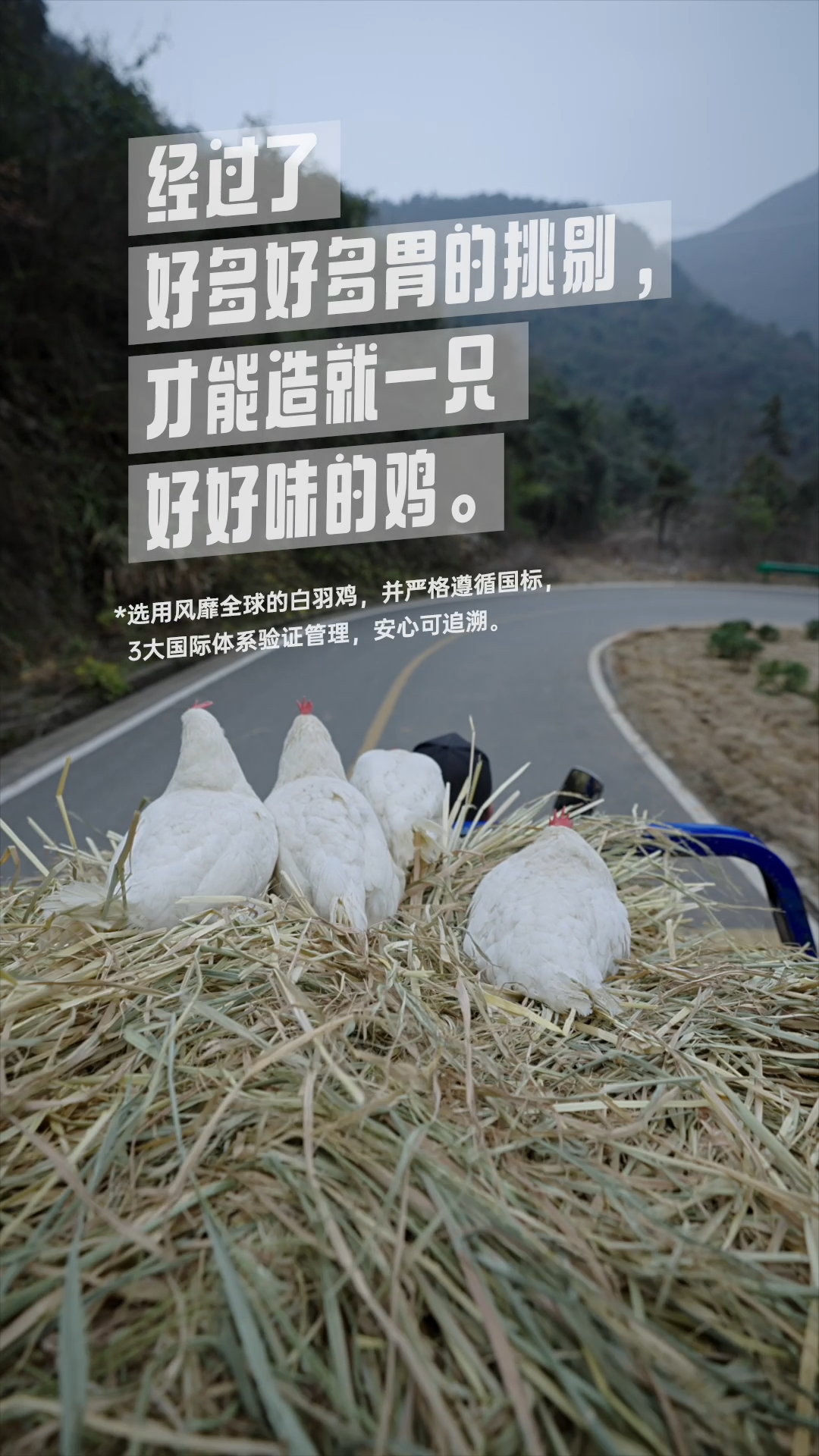 卤味觉醒首支品牌TVC，把鸡拍得很高级插图8