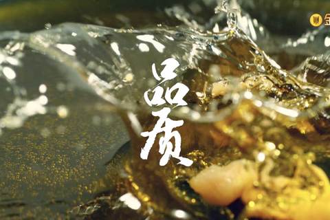 金鼎菜籽油