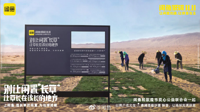 闲鱼闲置到“长草”了？！插图6