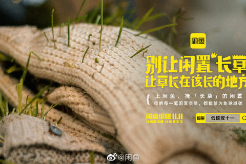 闲鱼闲置到“长草”了？！